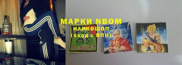 PSILOCYBIN Аркадак